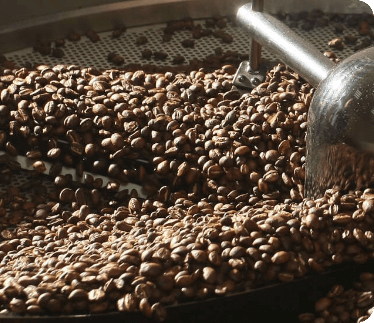 コーヒー豆と商品